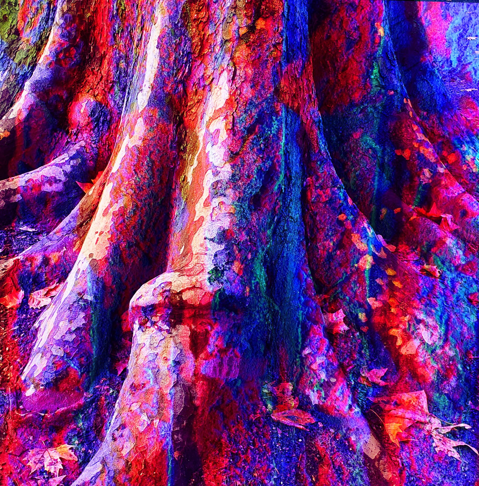 Art Print auf Aludibond, Holz, Fotoleinwand, Acrylglas Sia Korthaus digitale Kunst, Formate und Materialen flexibel, Art Print auf Aludibond, Holz, Fotoleinwand, Acrylglas dekoration für wohnräume und wände